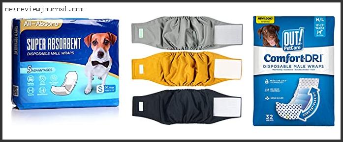 Buying Guide For Best Male Dog Diaper Wraps – To Buy Online