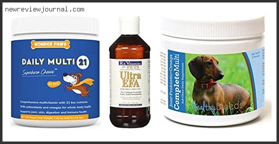 Best Vitamins For Dachshunds