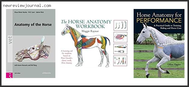 Best Horse Anatomy Book