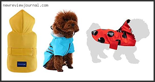 Deals For Best Puppy Raincoat Reviews With Scores
