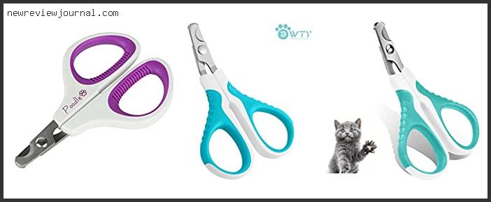 Top 10 Best Cat Nail Scissors Reviews With Products List