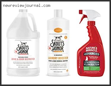 Best Cat Odor Removal Products