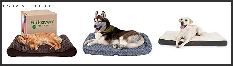 Buying Guide For Best Dog Bed For Samoyed Based On Customer Ratings