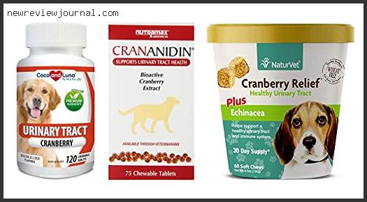 Deals For Best Cranberry Supplement For Dogs – Available On Market