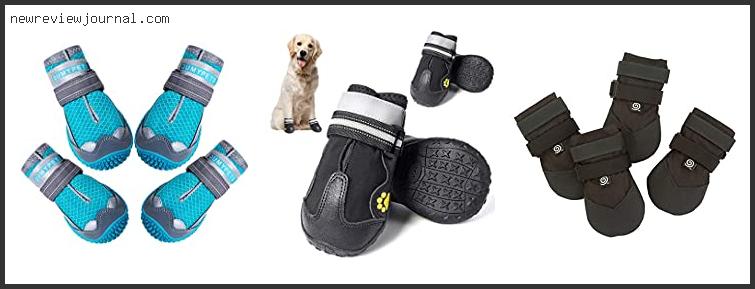 Buying Guide For Best Hot Weather Dog Boots Based On Scores