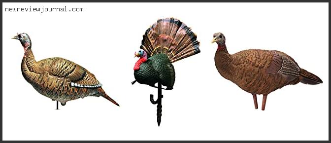 Buying Guide For Best Turkey Decoys For The Money Based On User Rating