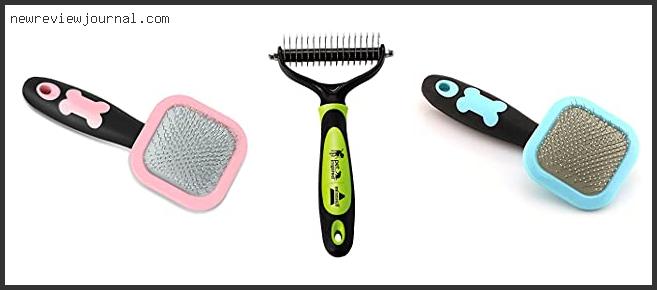 Top 10 Best Grooming Brush For Pomeranian With Expert Recommendation