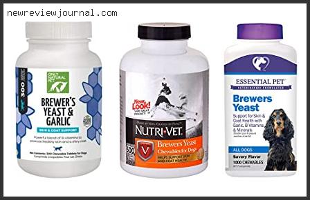 Buying Guide For Best Brewers Yeast For Dogs In [2024]