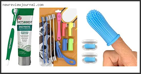 Buying Guide For Best Dog Toothbrush Kit In [2024]