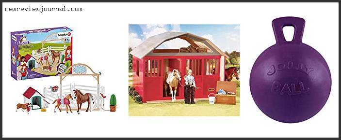 Best Horse Stall Toys