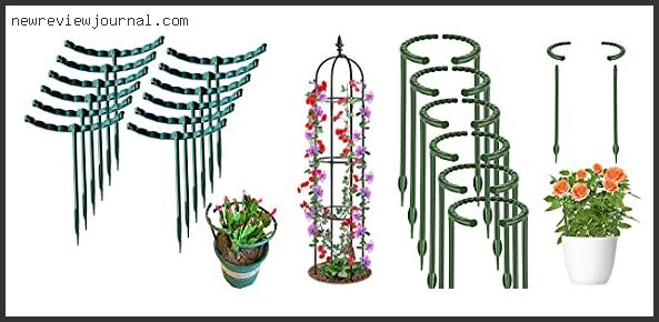 Buying Guide For Best Climbing Flowers For Trellis With Expert Recommendation