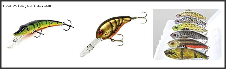 Top 10 Best Fall Crankbaits With Buying Guide