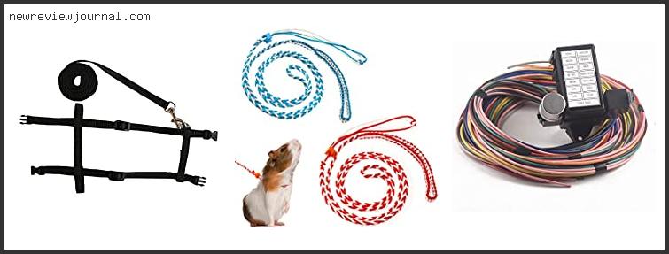 Buying Guide For Best Rat Harness With Expert Recommendation