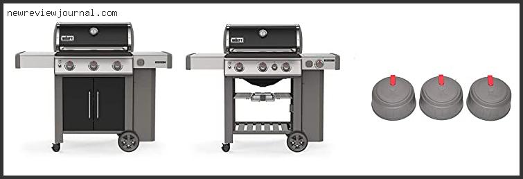 Best 3 Burner Weber Grill