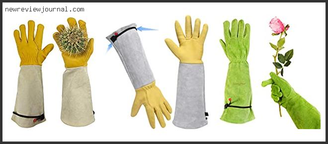 Best Gloves For Cactus