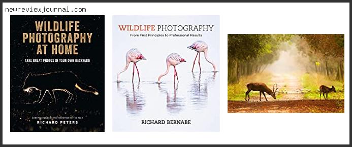 Deals For Best Wildlife Photography Equipment Based On Scores