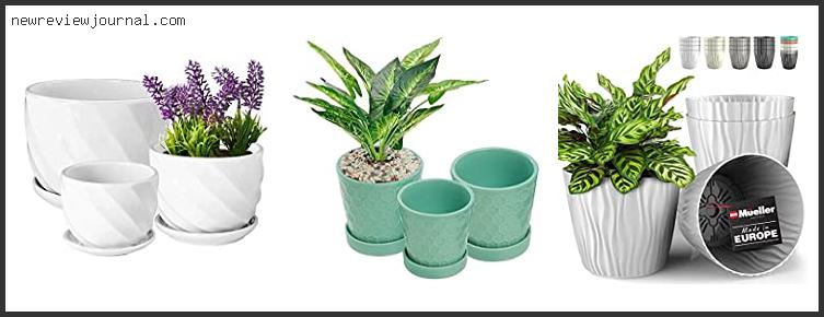 Buying Guide For Best Flower Pots For Indoor Plants – To Buy Online