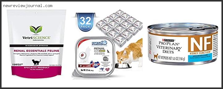 Buying Guide For Best Renal Diet For Cats Reviews With Products List
