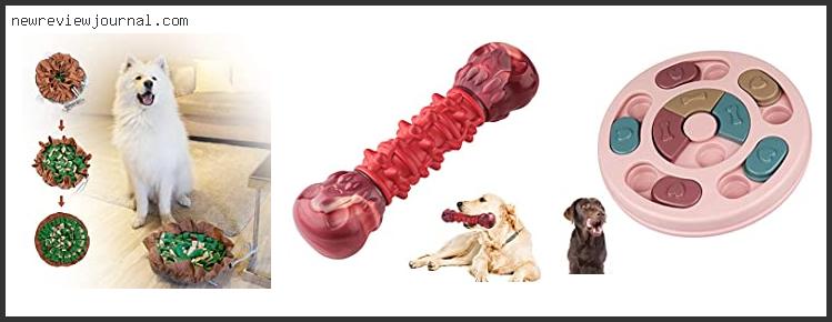 Deals For Best Dog Enrichment Toys With Expert Recommendation