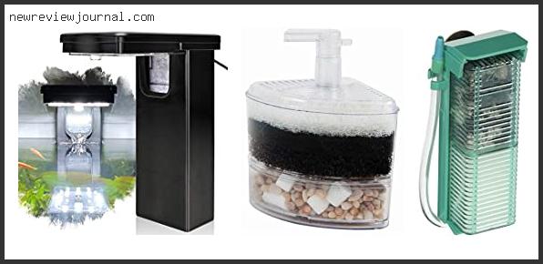 Buying Guide For Best 5 Gallon Fish Tank Filter – To Buy Online