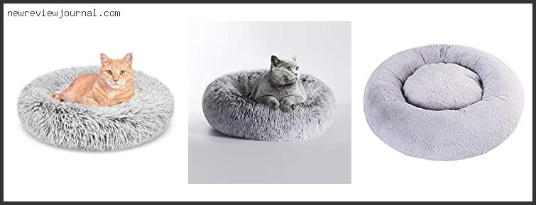 Top 10 Best Cat Beds For Large Cats With Buying Guide