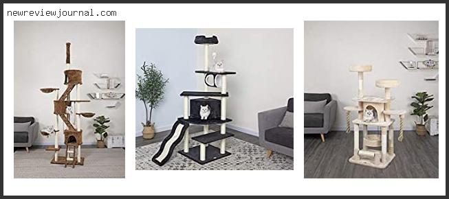 Best #10 – Go Pet Club Cat Tree F2040 With Buying Guide