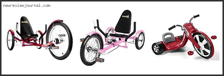 Best #10 – Big Wheel Tricycles For Adults Based On User Rating