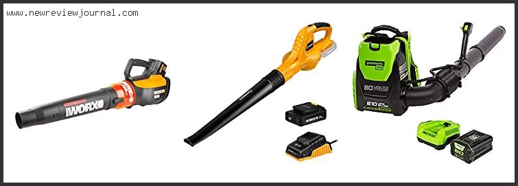 10 Best Cordless Battery Powered Leaf Blower With Expert Recommendation