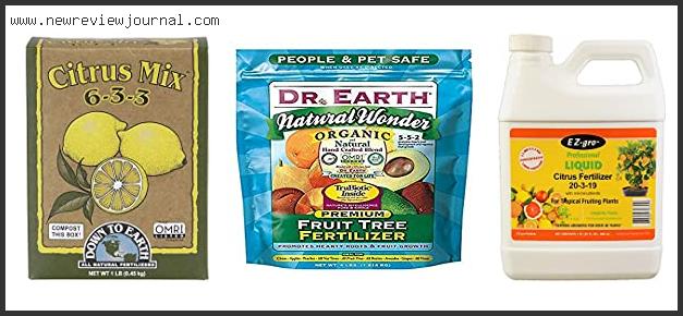 Best Fertilizer For Potted Meyer Lemon Tree Reviews With Products List
