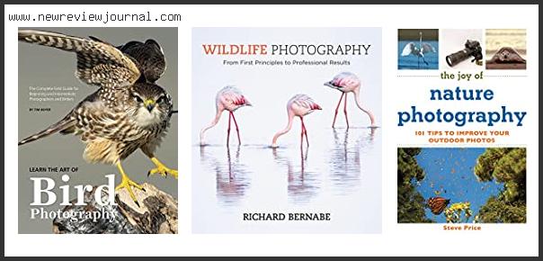 Best #10 – Flash For Bird Photography Reviews For You