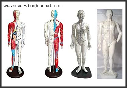Top 10 Acupuncture Model – Available On Market