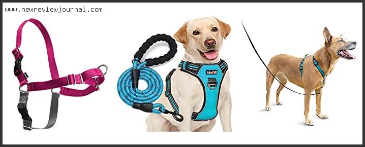 Top Best No Jump Dog Harness Based On Scores