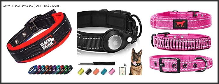 10 Best Heavy Duty Dog Collar Reviews For You