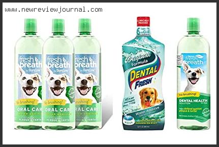 10 Best Dog Water Additive For Teeth In [2024]