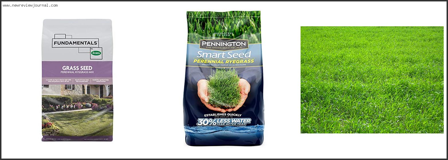 Top 10 Best Perennial Ryegrass Seed With Buying Guide