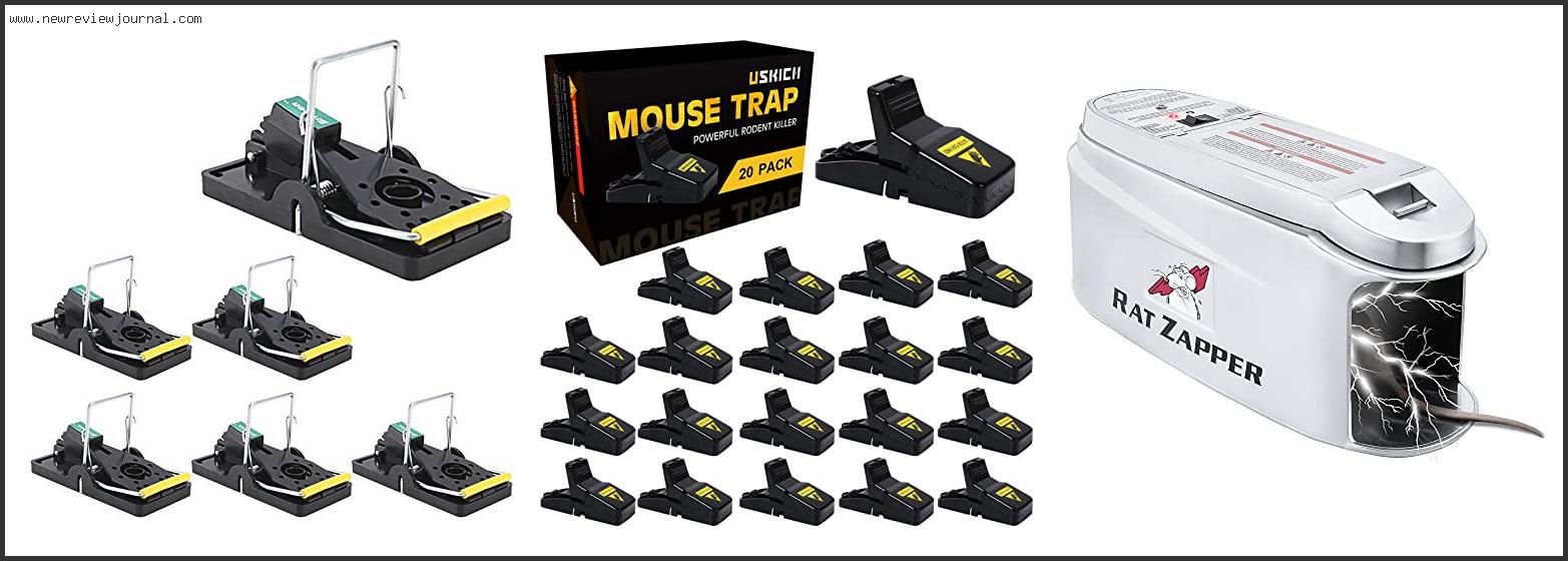 Top 10 Best Mouse Trap Killers Reviews With Scores