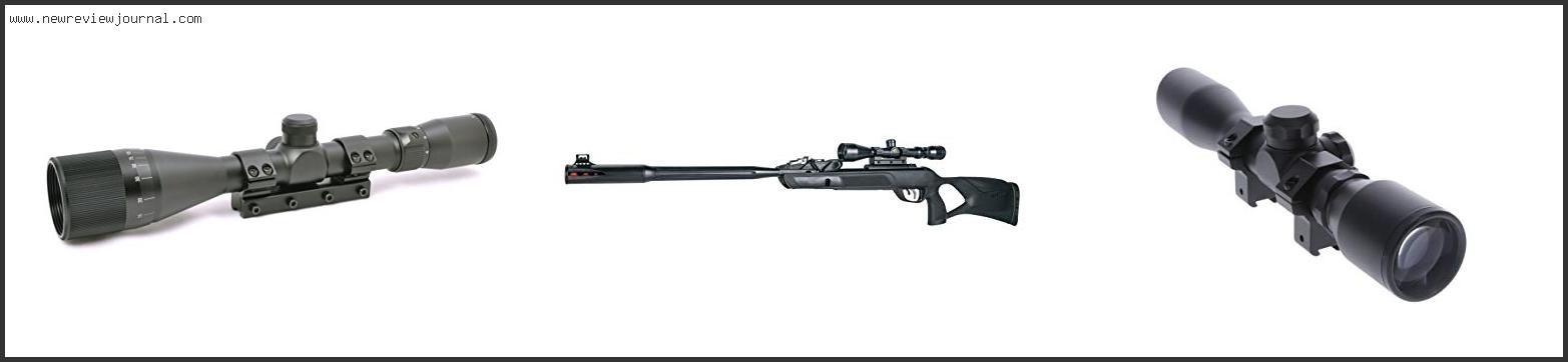 Top 10 Best Scope For Gamo Air Rifle Based On User Rating