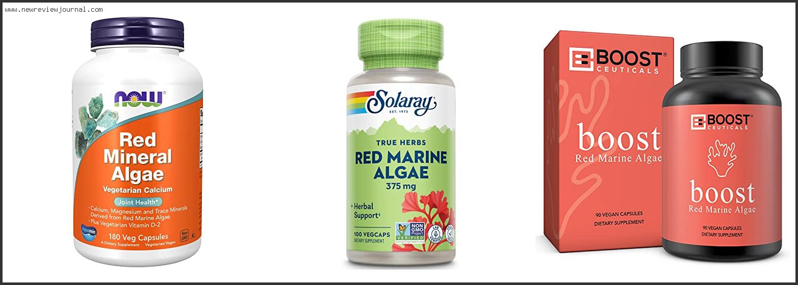 Top 10 Best Red Marine Algae Based On Scores