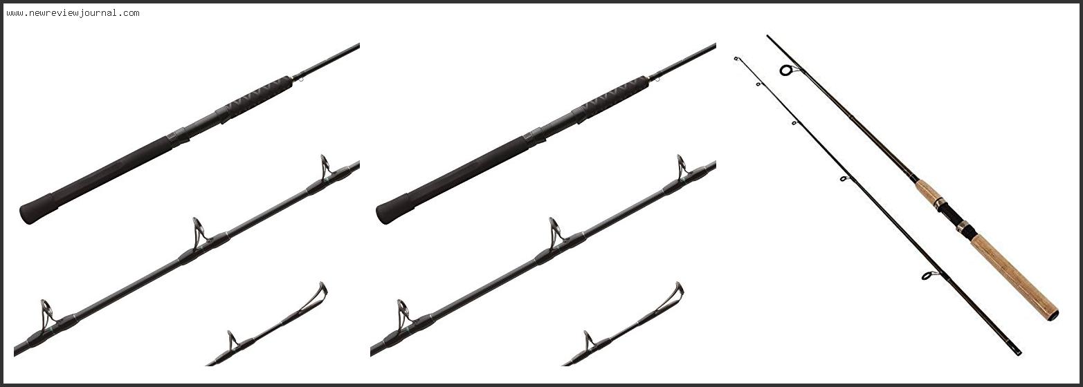 Top 10 Best Shimano Spinning Rods – Available On Market
