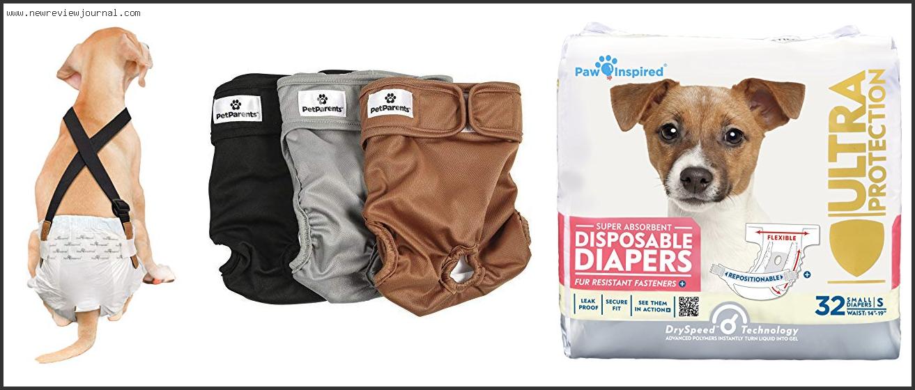 Top 10 Best Dog Diapers For Dachshunds Based On Customer Ratings