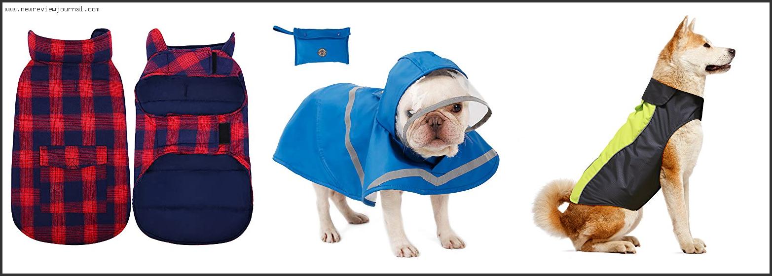 Top 10 Best Dog Coat With Harness Hole Based On Scores