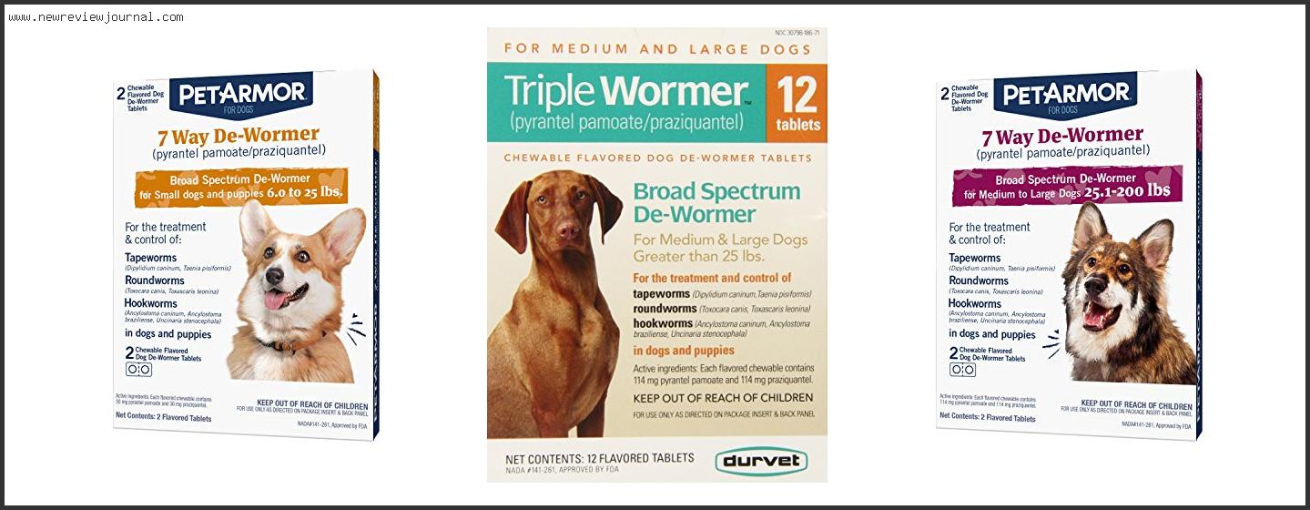 Top 10 Best Dog Wormers – Available On Market