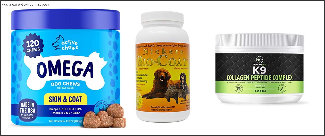 Top 10 Best Biotin Supplement For Dogs – To Buy Online