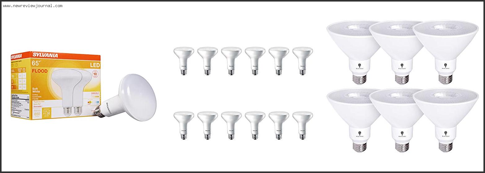 Top 10 Best Led Flood Light Bulbs With Buying Guide