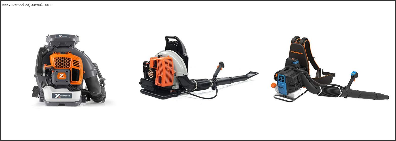 Best Gas Backpack Leaf Blowers