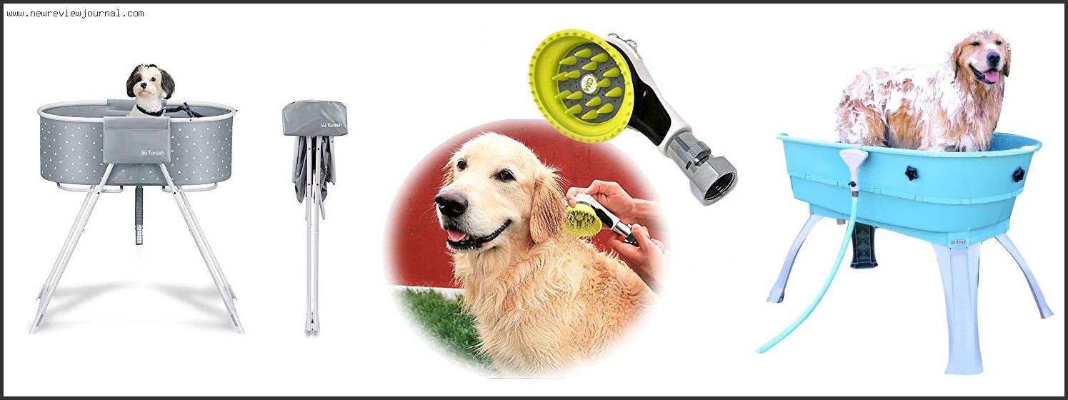 Top 10 Best Dog Washing Station With Expert Recommendation