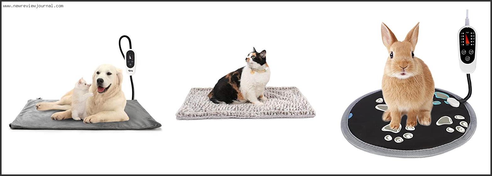 Top 10 Best Pet Heating Pad With Buying Guide