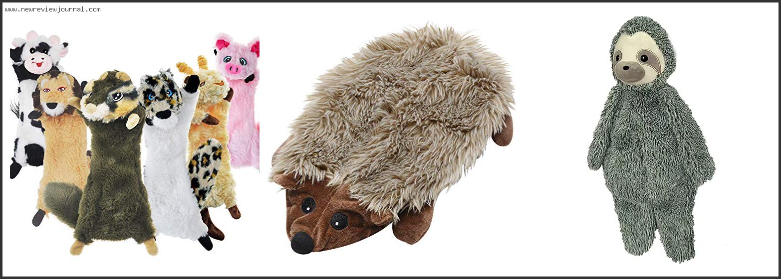 Top 10 Best Crinkle Dog Toys Based On Scores