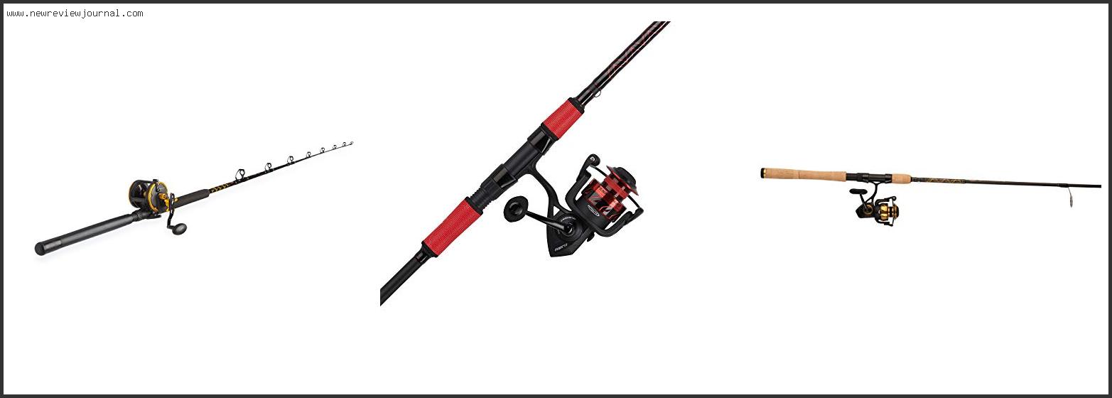 Top 10 Best Penn Saltwater Combo With Buying Guide