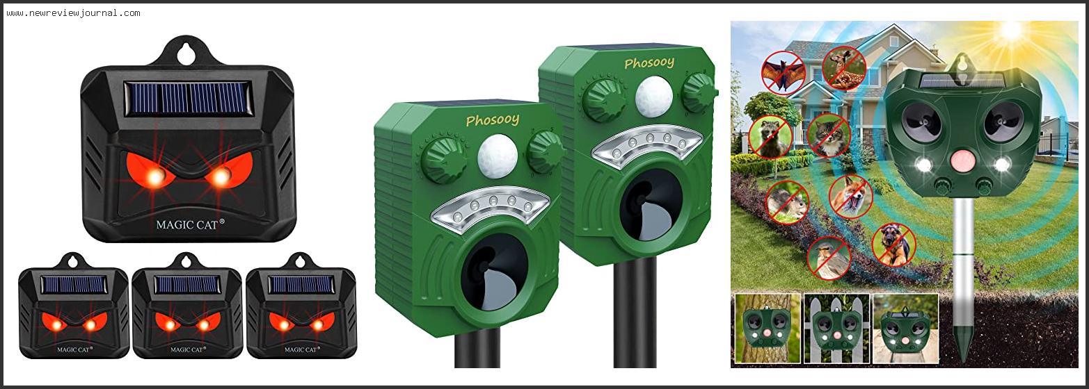 Top 10 Best Solar Animal Repeller – Available On Market